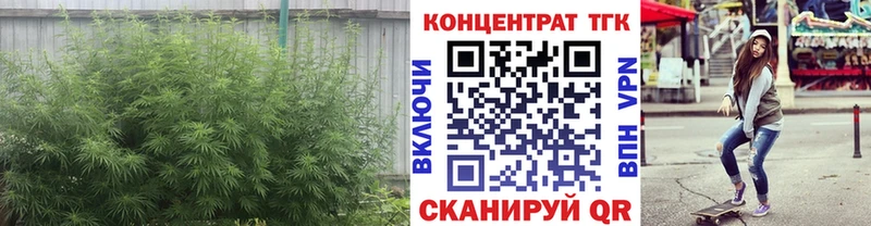 Дистиллят ТГК Wax Абдулино
